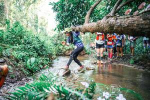 BIB: 
                            <button type="button" onclick="openModal(25514237)" class="btn btn-primary btn-sm float-right btn-popup" data-toggle="modal" data-target=".modal-high-quality">
                        <i class="fas fa-shopping-cart"></i> Add to Cart
                    </button>
                                            <button type="button" onclick="isThisMe(25514237, true)" class="btn btn-success btn-sm float-right btn-popup btn-isme hidden" data-toggle="tooltip" data-placement="bottom" title="นี่คือรูปของคุณใช่ไหม คลิกที่นี่เพื่อเอาเข้าอัลบั้ม">
                        <i class="fas fa-plus"></i> Add to album
                    </button>
                    <button type="button" onclick="isThisMe(25514237, false)" class="btn btn-warning btn-sm float-right btn-popup btn-isnotme hidden">
                        <i class="fas fa-ban"></i> Remove from album
                    </button>